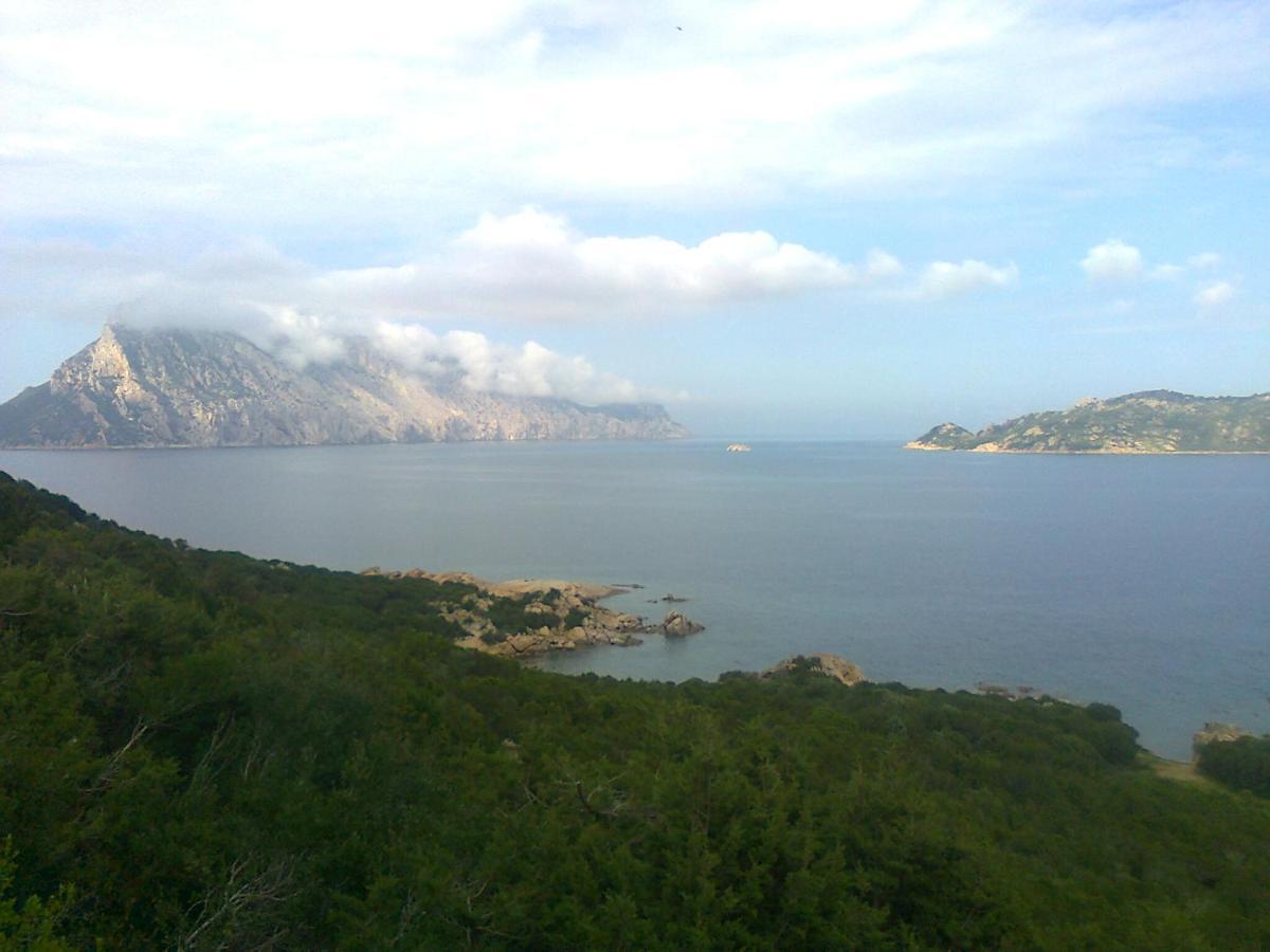 Frina Di Mari B&B San Teodoro  Eksteriør bilde