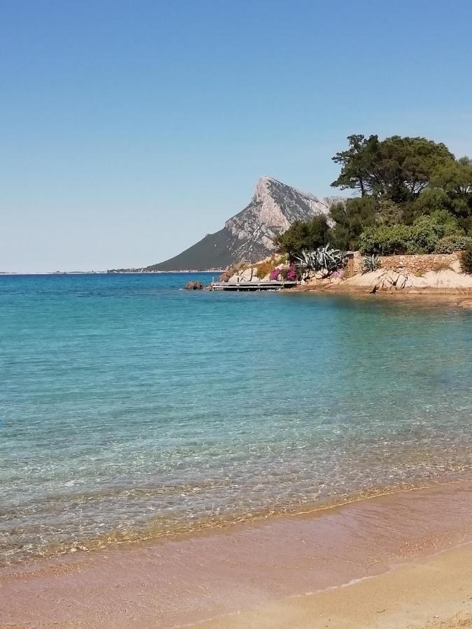 Frina Di Mari B&B San Teodoro  Eksteriør bilde